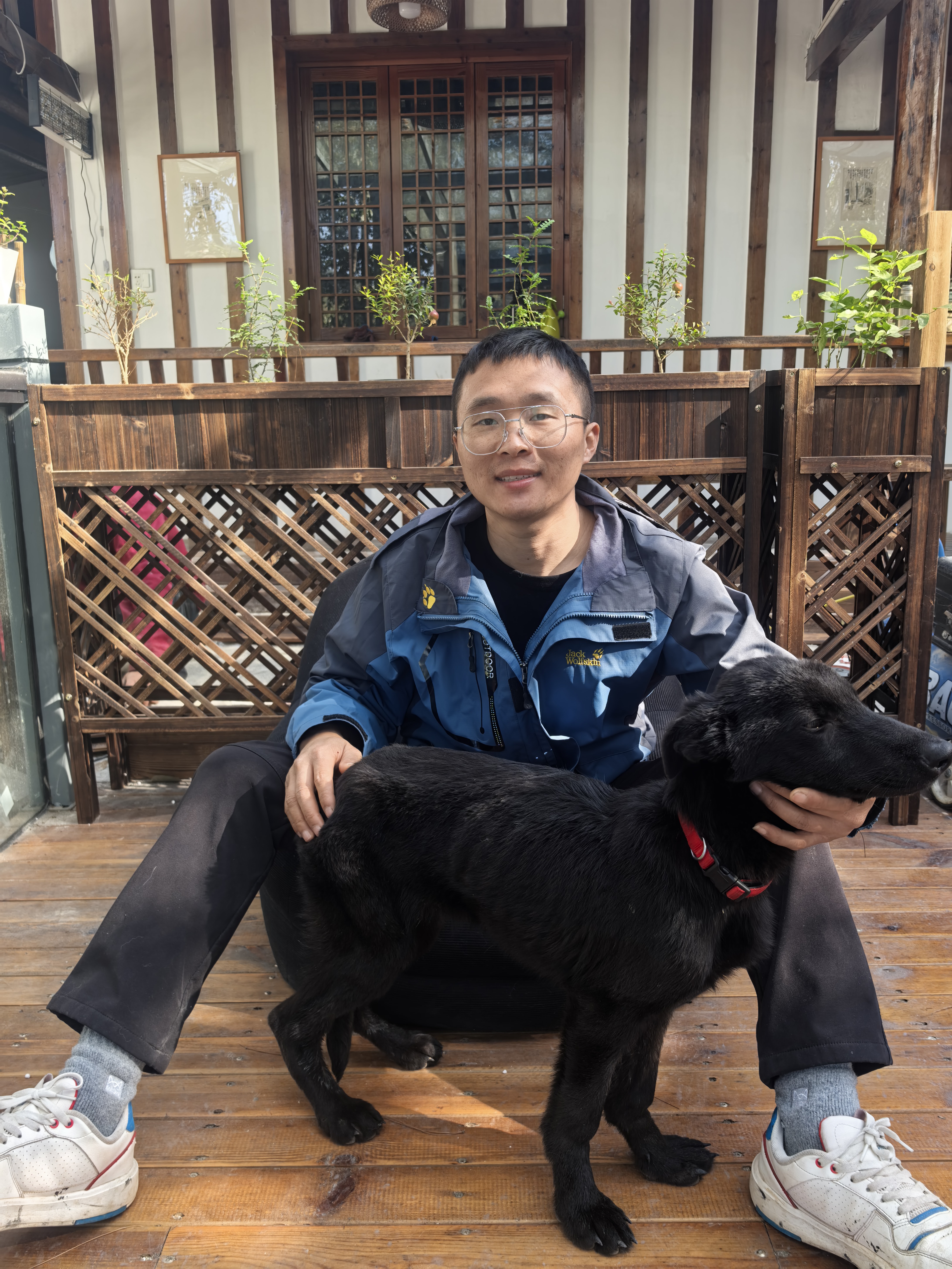 双血统带芯片追踪器出生纸东德牧羊犬